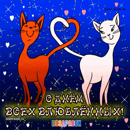 pozdravok-otkrytka-den-vlyublennyh-kotiki