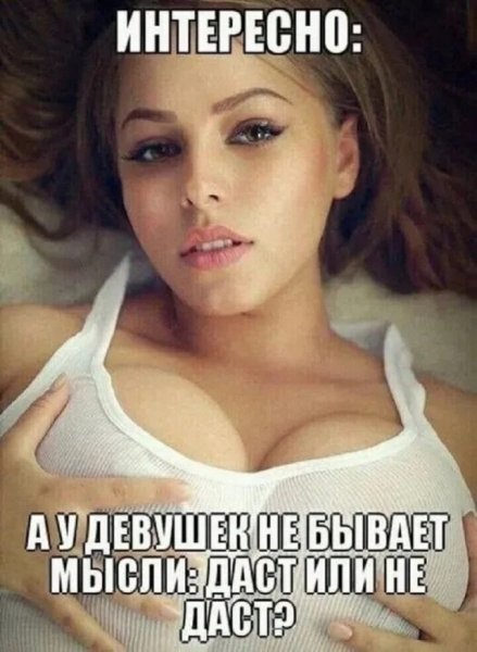 file_103101832