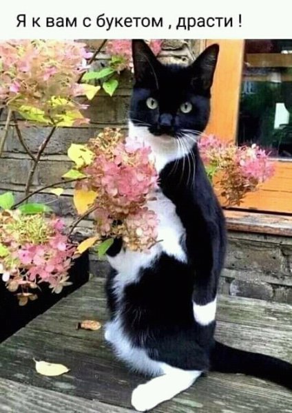 FB IMG 16188140716898138