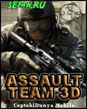 Assault Team 3D 240х320