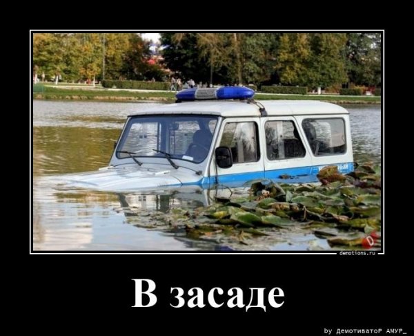 В засаде