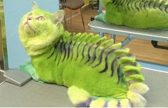 После посещения салона красоты 2