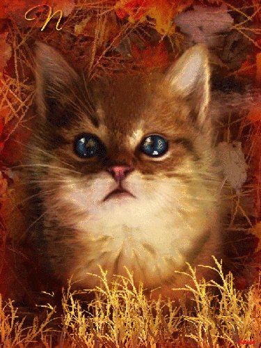 Привет,осень!