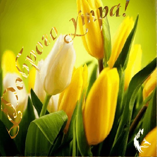 доброго утра