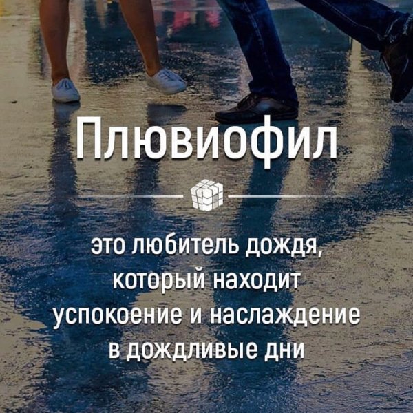 Плювиофил