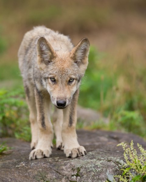 e69c9f692e8c5b5d5f1e5ab674337