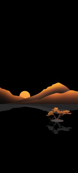 adapted 1080x2400
