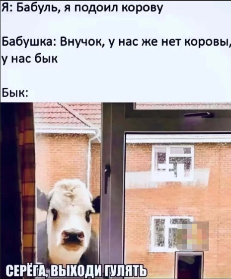 IMG 20260629 185519