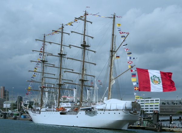 IMG viter59 BAP Unión bark