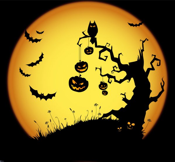 Noche Halloween