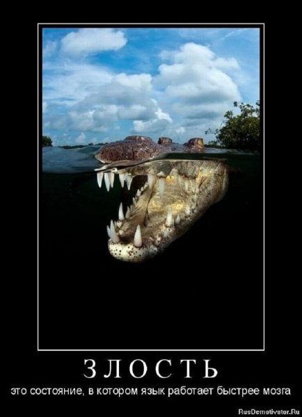 ЗЛОСТЬ...
