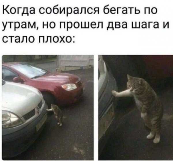 file_102571608