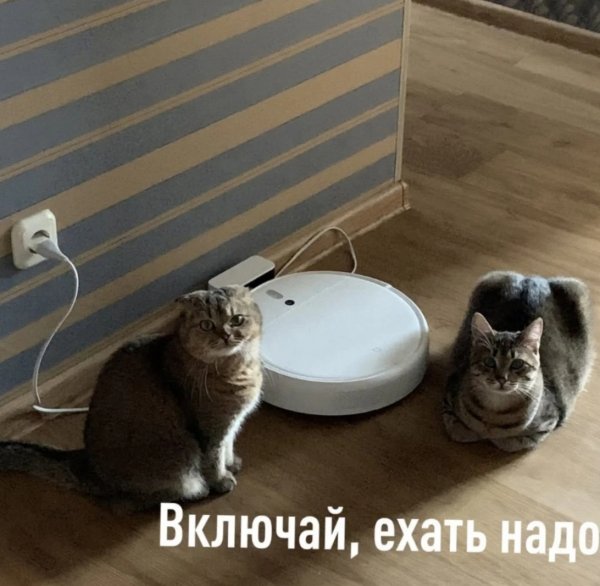 SlxPBnxUQy8