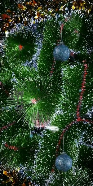 Dc213676f6aa8ed0583a2a35334d680e