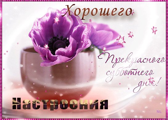 file_75902503