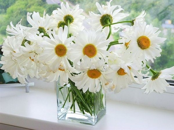 o8SClgw177oE3lTDtJwq. 000