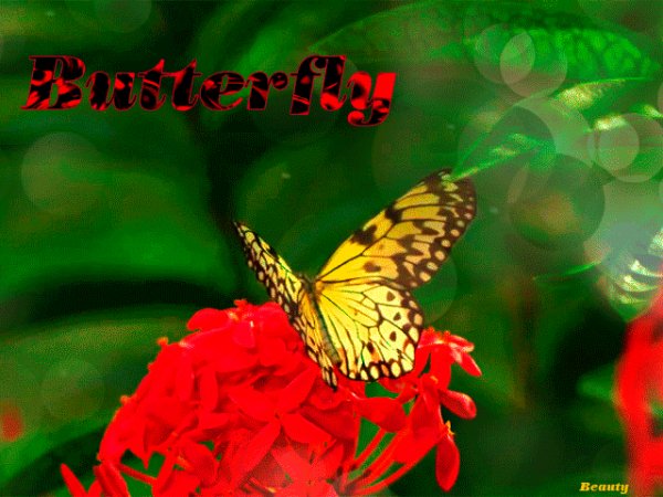 file_74507228