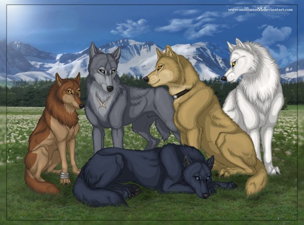 wolf s rain groupshot by wolfbane88
