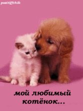 LJuBIMYJKOTJoNOK