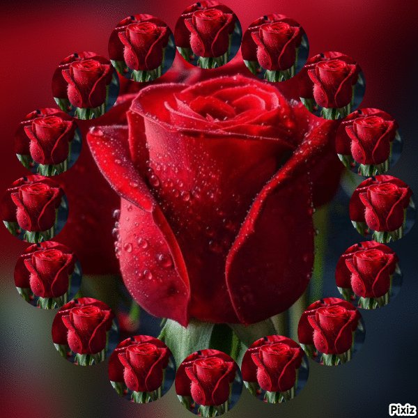 26e5c37d