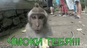 IMG 20221005 064610