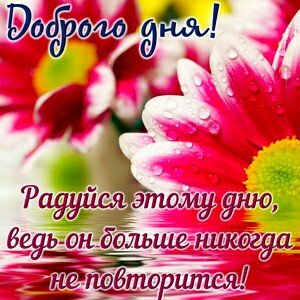 IMG 20181114 060914 692