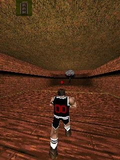 Баскетбол 3D мод quake1