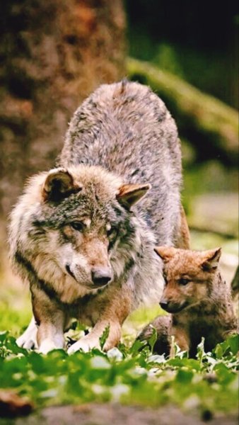 9fee628d439379c5a5ec001d56200ca2