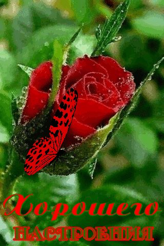 ae3bc767319de01a61e2493a194bd