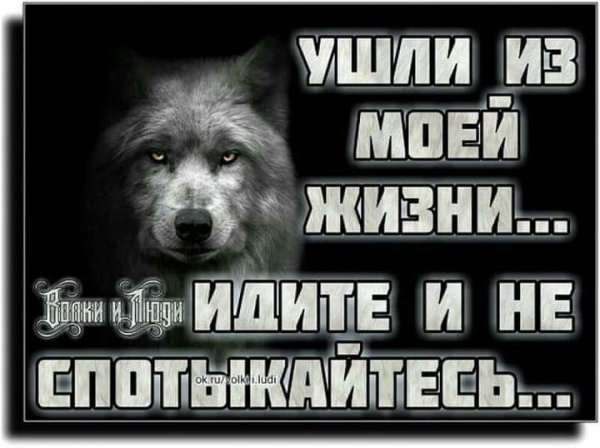 FB IMG 1627249589502
