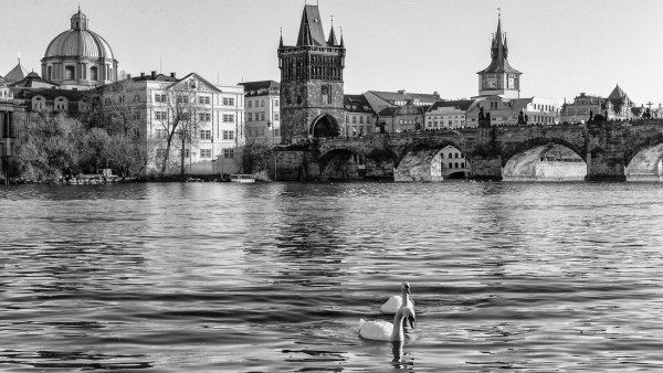 file_77411882