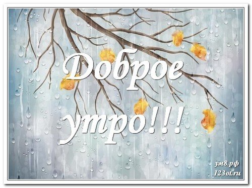 prekrasnogo-utra-otkrytka-mughchine-mughu-s-prirod-514836