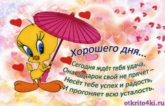 Хорошего дня