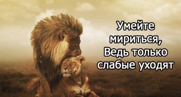 Умейте мирится