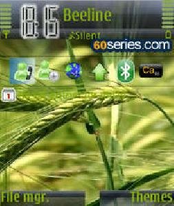 new-vista-