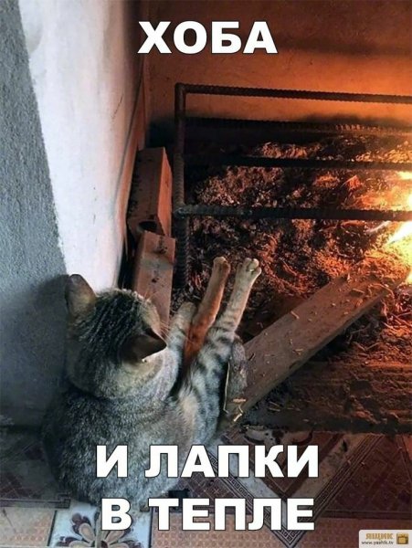 91c9c862f3c3f84d3d57781954ac8df8