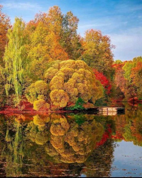 Краски осени