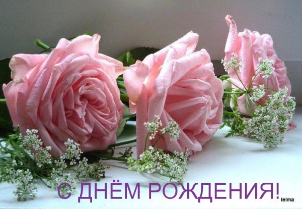 IMG 20181208 732498