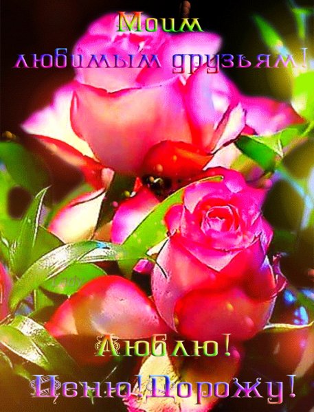IMG 20170906 071556 12