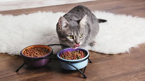 AQAG8SnCCmSF64S7WOYu-pRGT5HyedNRbfmmP2ss5E-l-xl7WMhTjd7ZWqWo