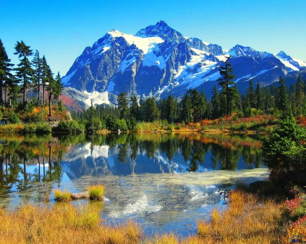 mota ru 1071840-1280x1024