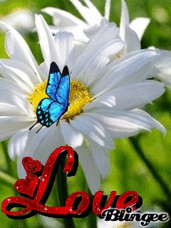 file_51997646