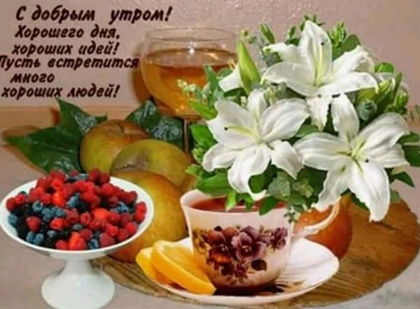 IMG 20190114 074223