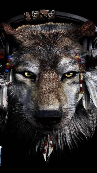 DJ Wolf-dee22b18-31c4-39ef-8bd4-464678d53e8c