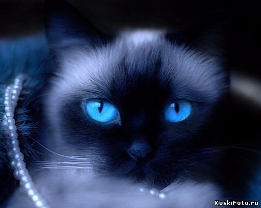aba2b6755d9a34fd37d53abeee6