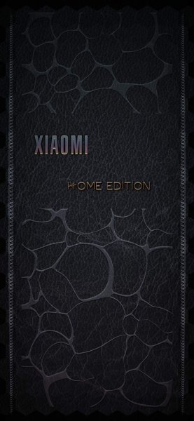 Xiaomi Home Edition