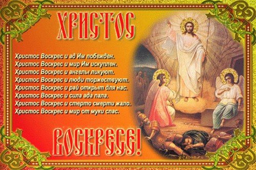 file_16626796