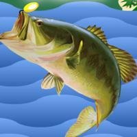 Fish Hour