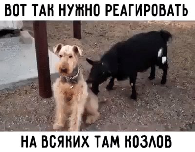 IMG 20260128 214821