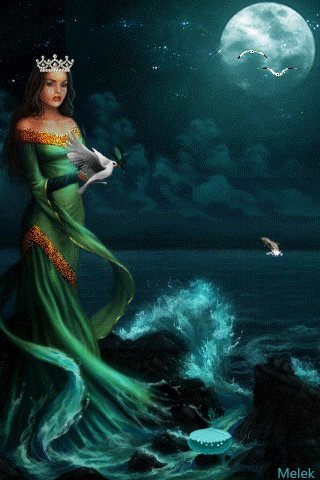 file_70318440